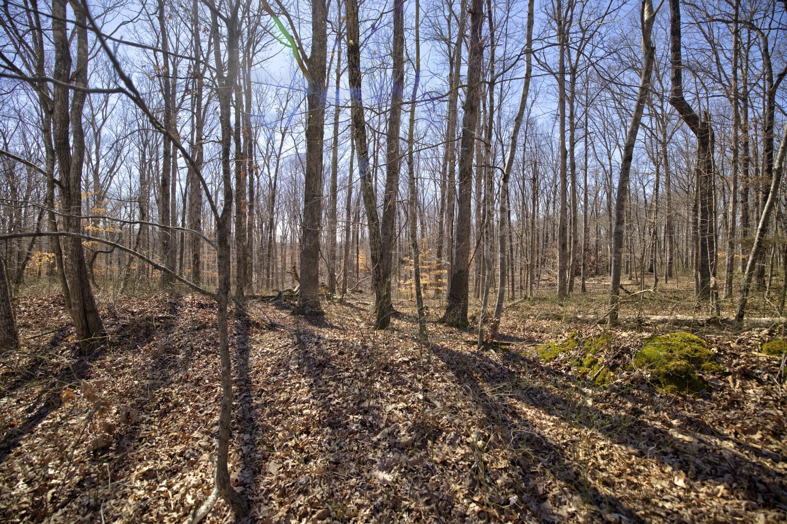 1 Keel Hollow Ln