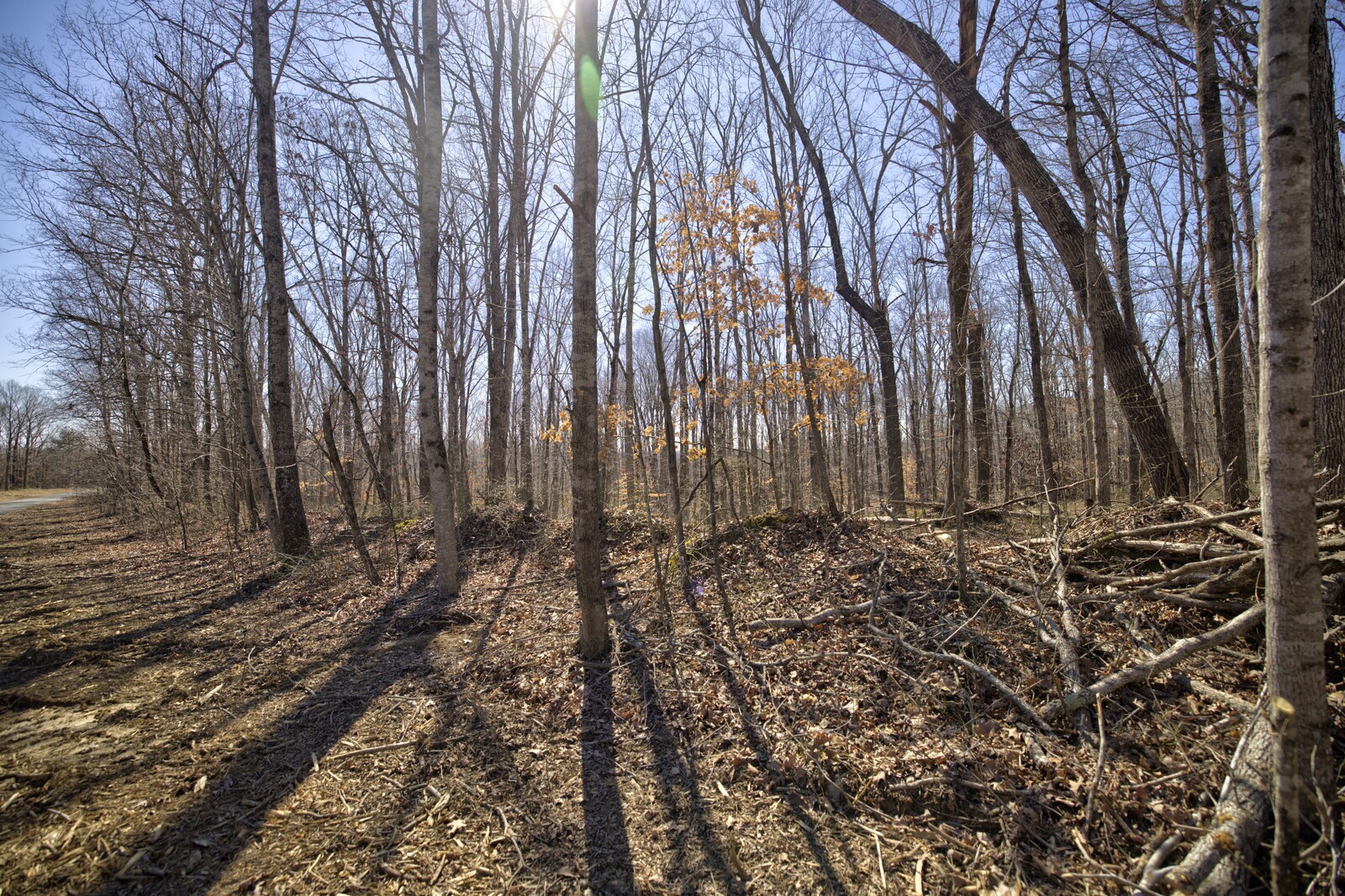 1 Keel Hollow Ln