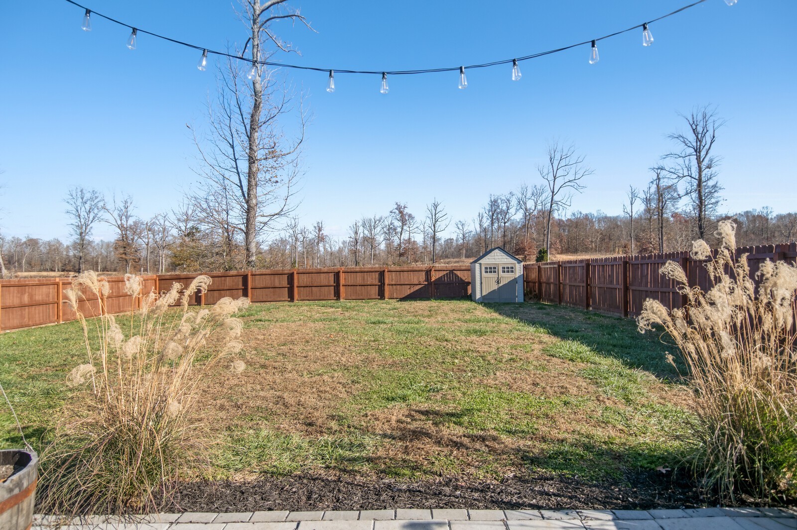 411 Palamino Ln