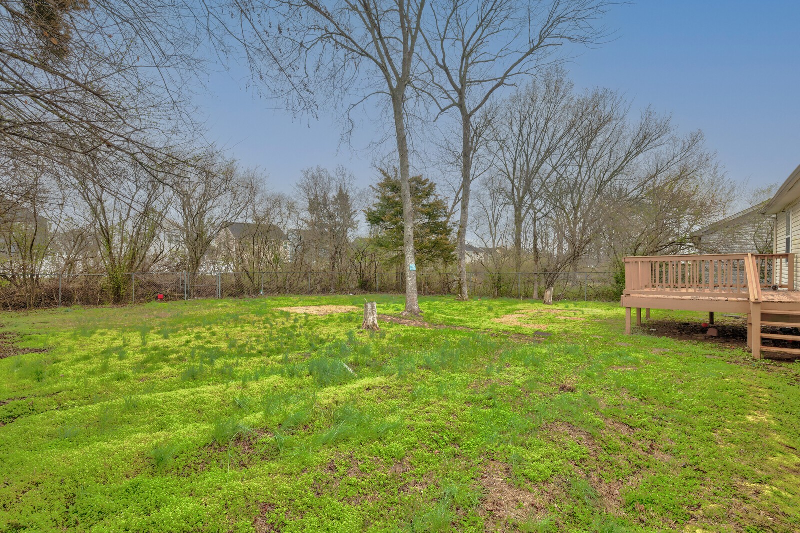 1409 Laurel Oak Dr