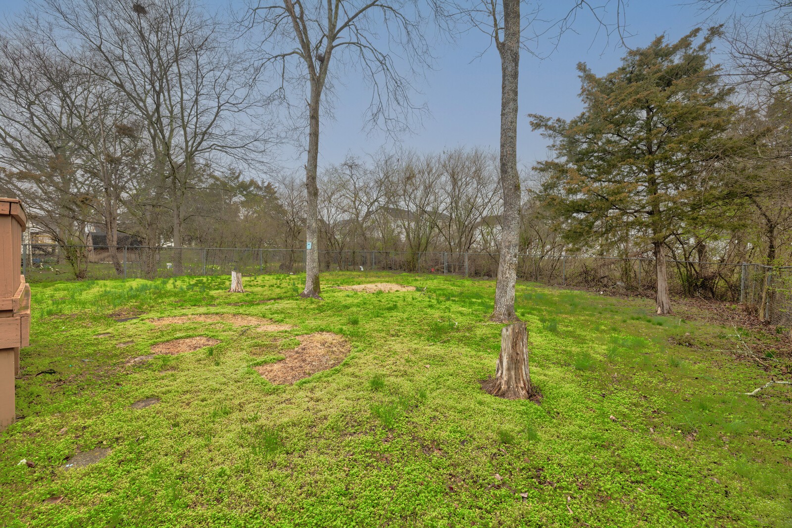1409 Laurel Oak Dr