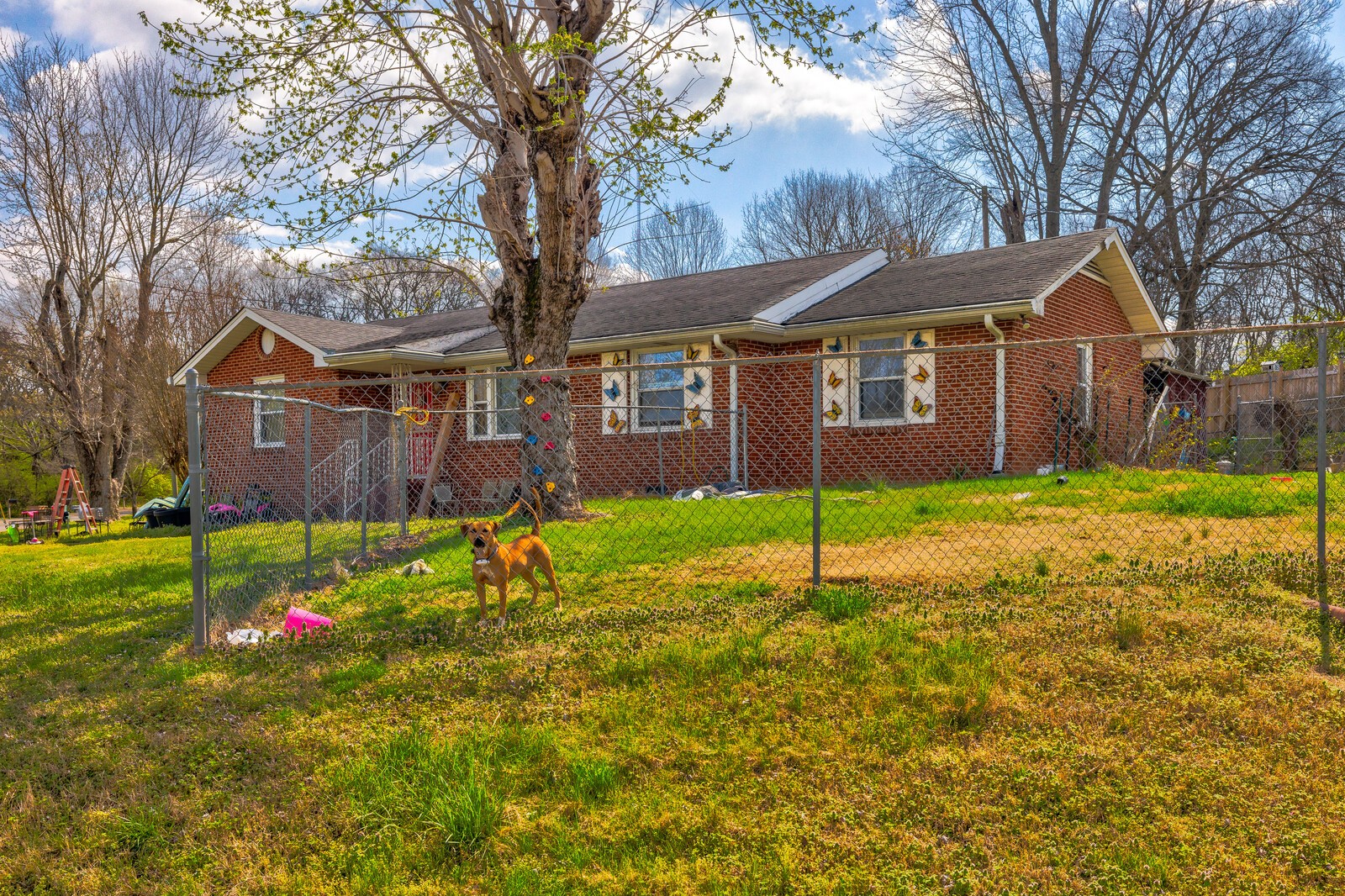 447 American Rd