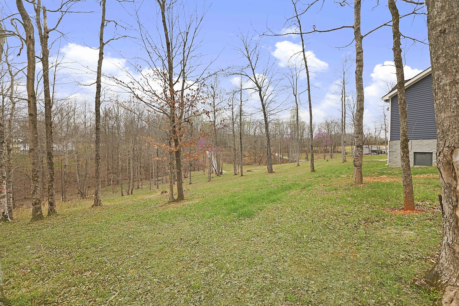 987 Promise Land Rd