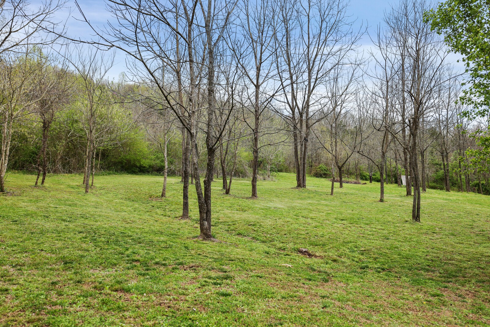 57 Hillside Cove Dr