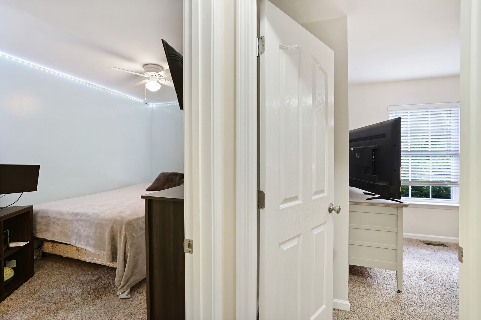 1602 Tree Trunk Ln