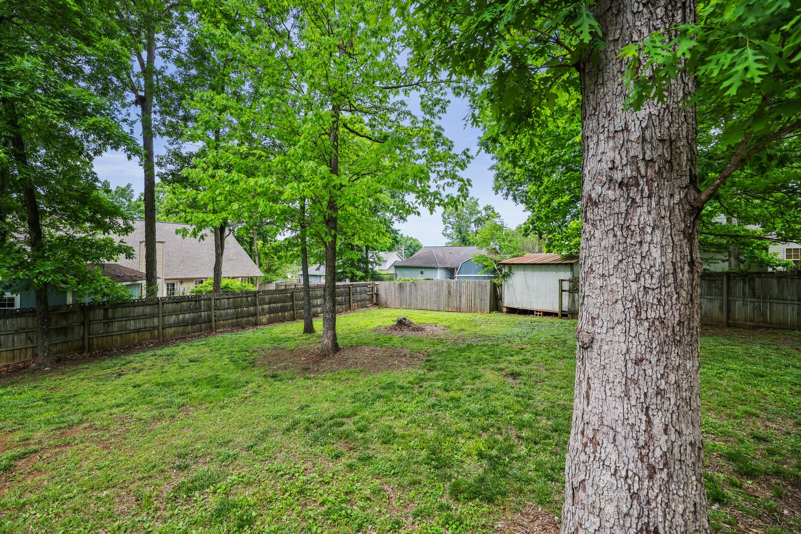 1602 Tree Trunk Ln