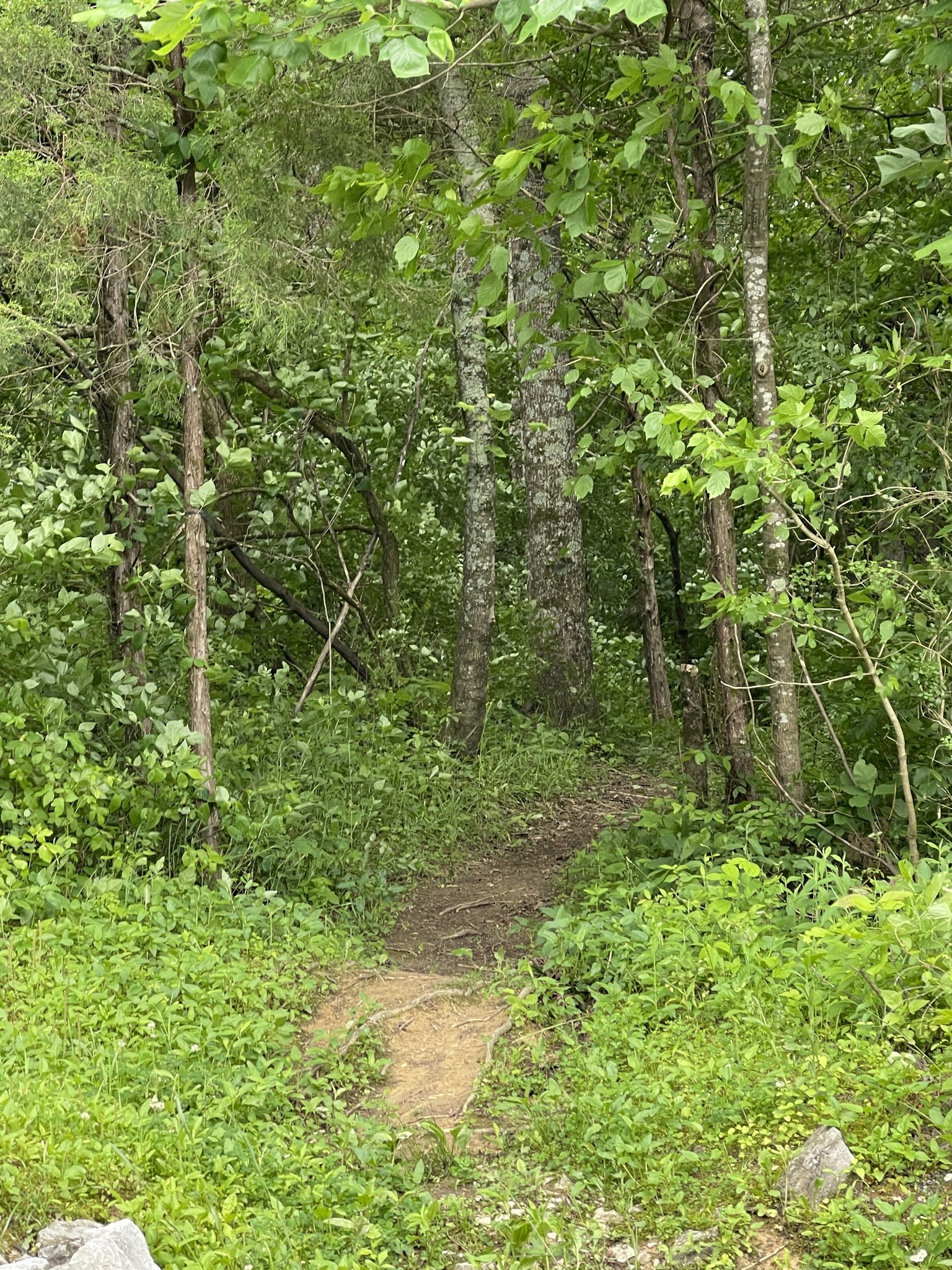 428 Secret Mountain Pass