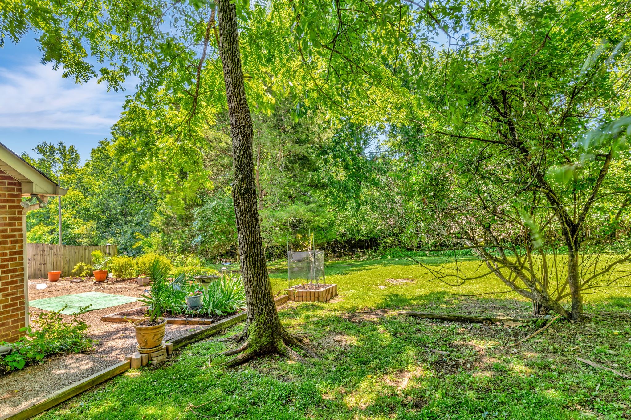 105 Red Maple Ct