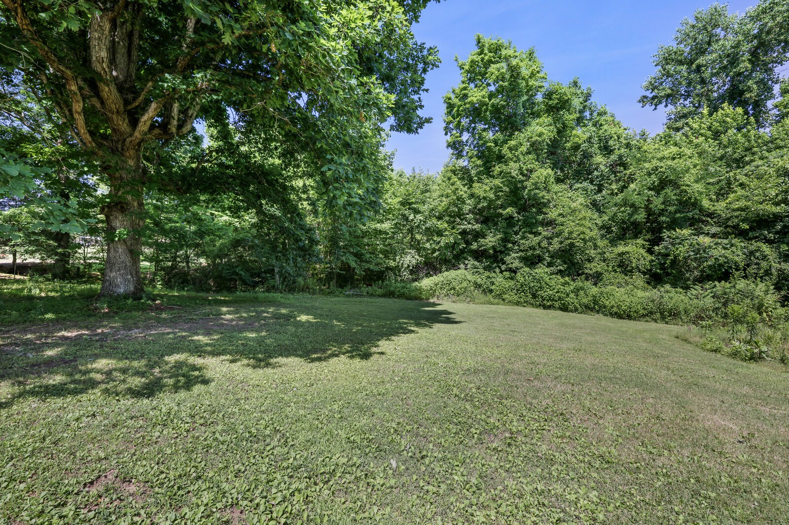 286 Dorris Rd