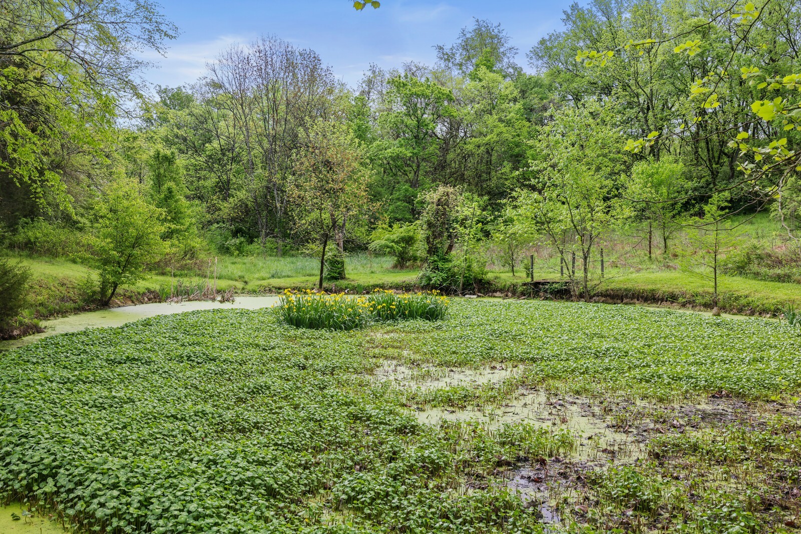5700 Cane Ridge Rd