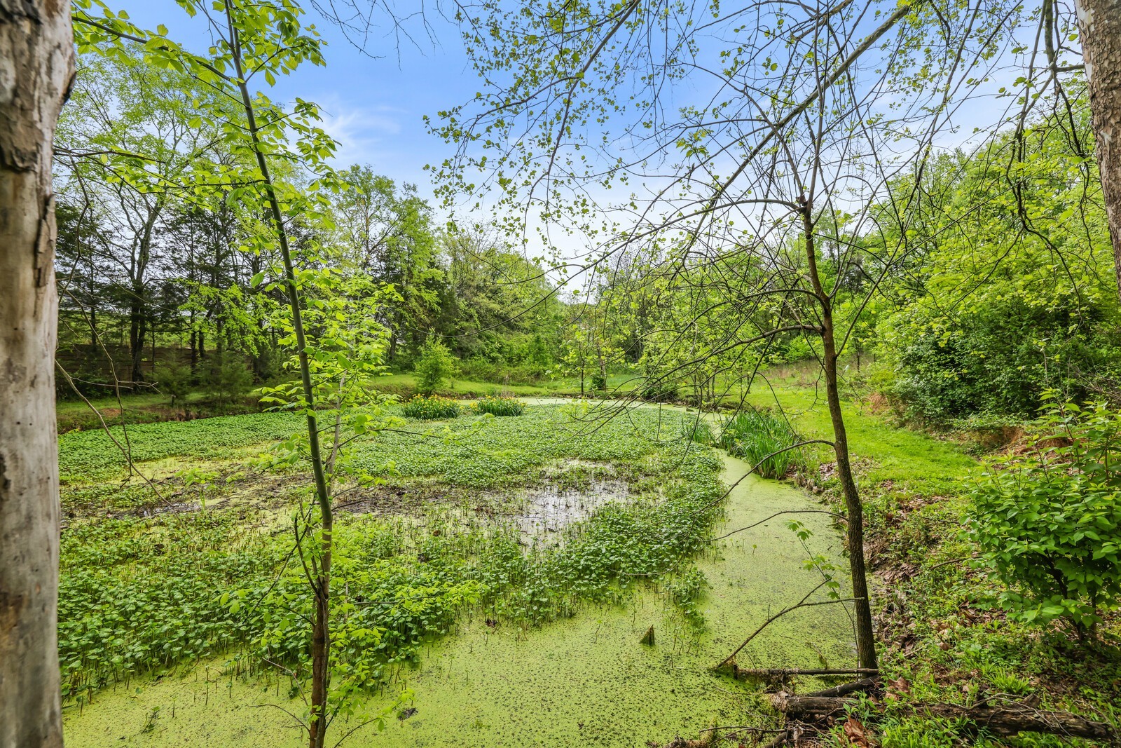 5700 Cane Ridge Rd