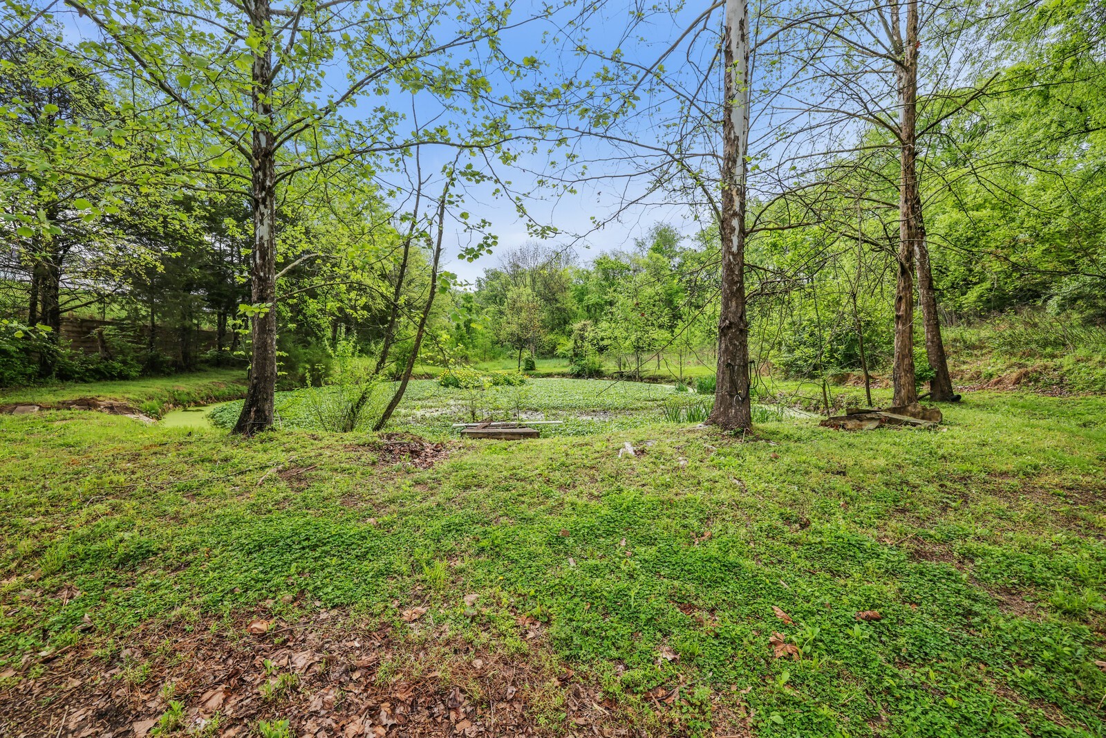5700 Cane Ridge Rd