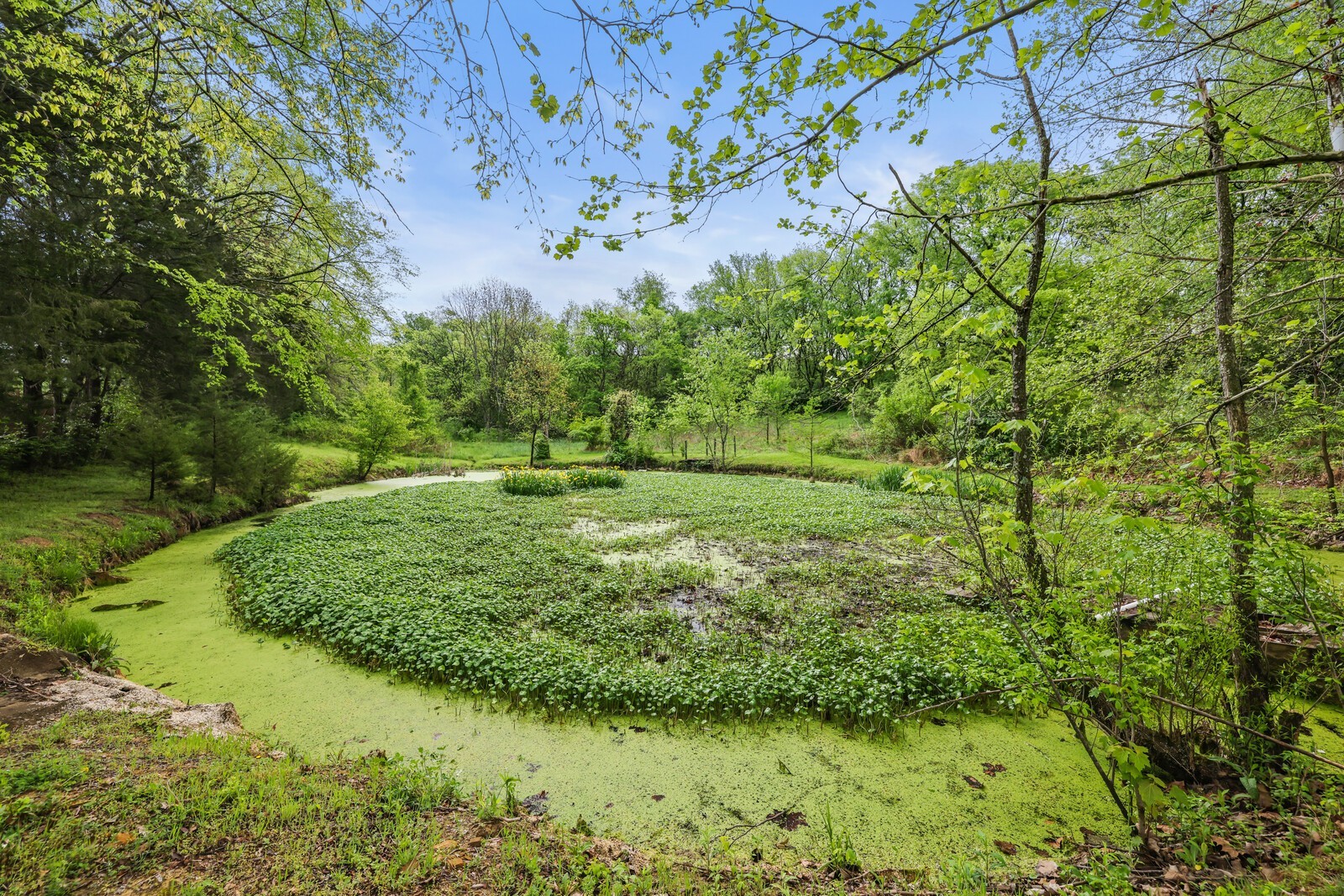 5700 Cane Ridge Rd