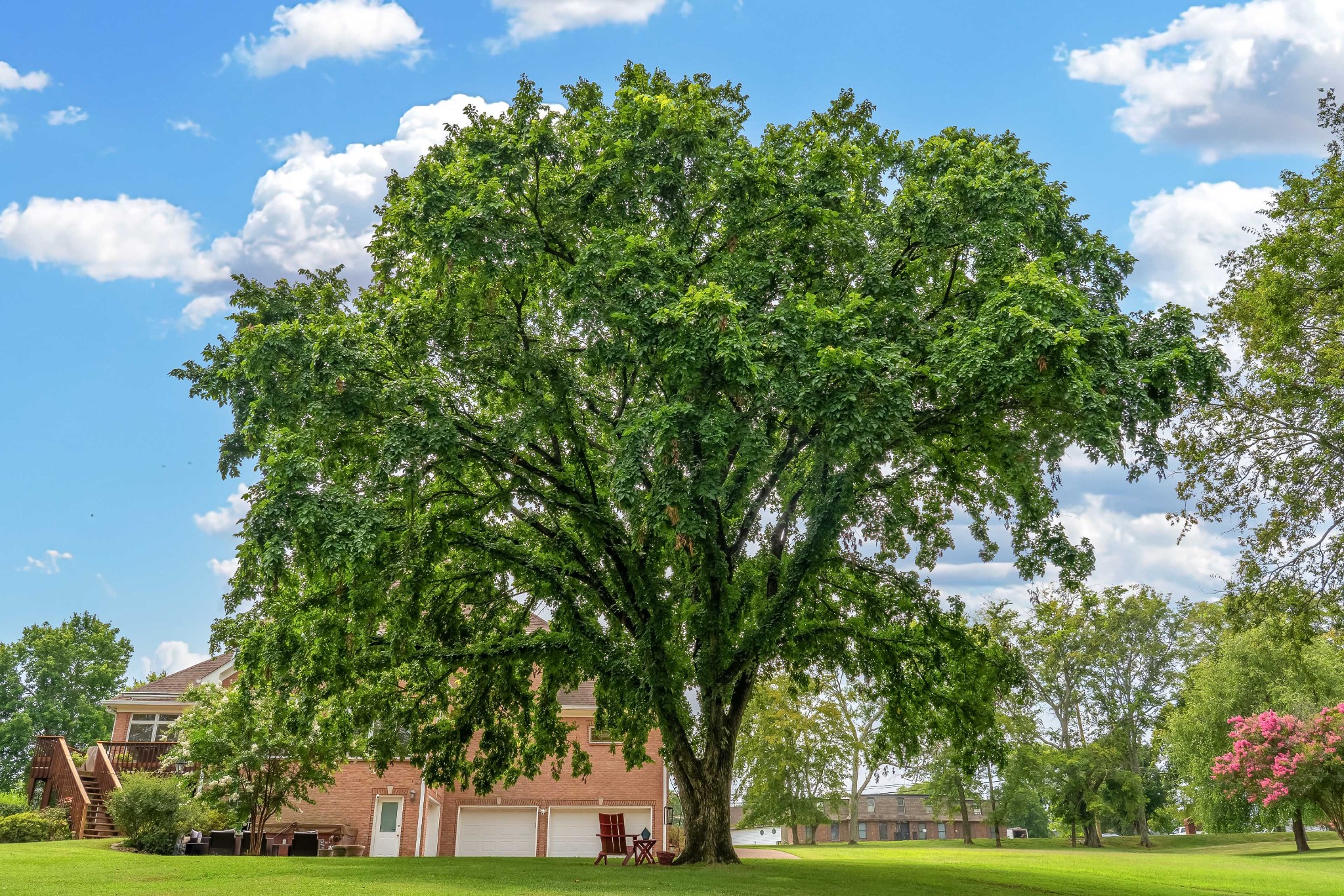654 Cumberland Hills Dr