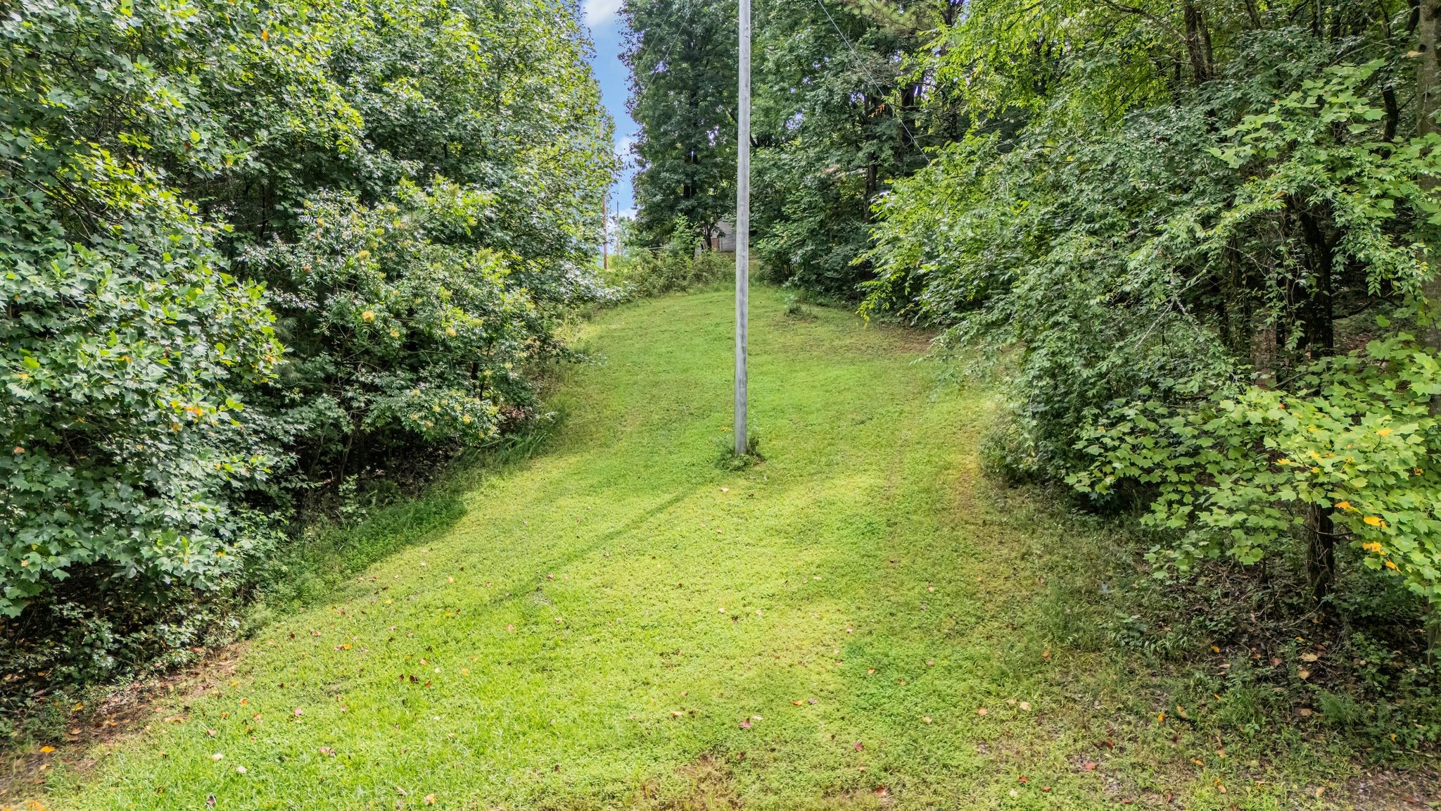 631 Hog Back Ridge Rd