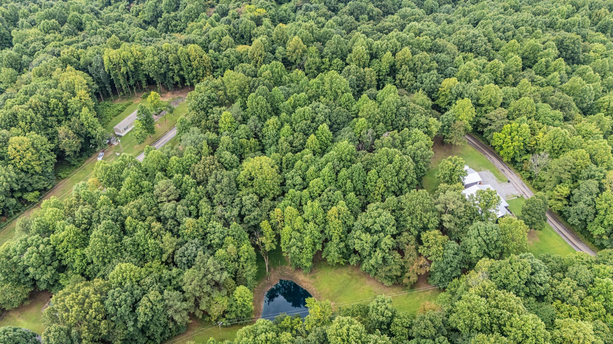 631 Hog Back Ridge Rd