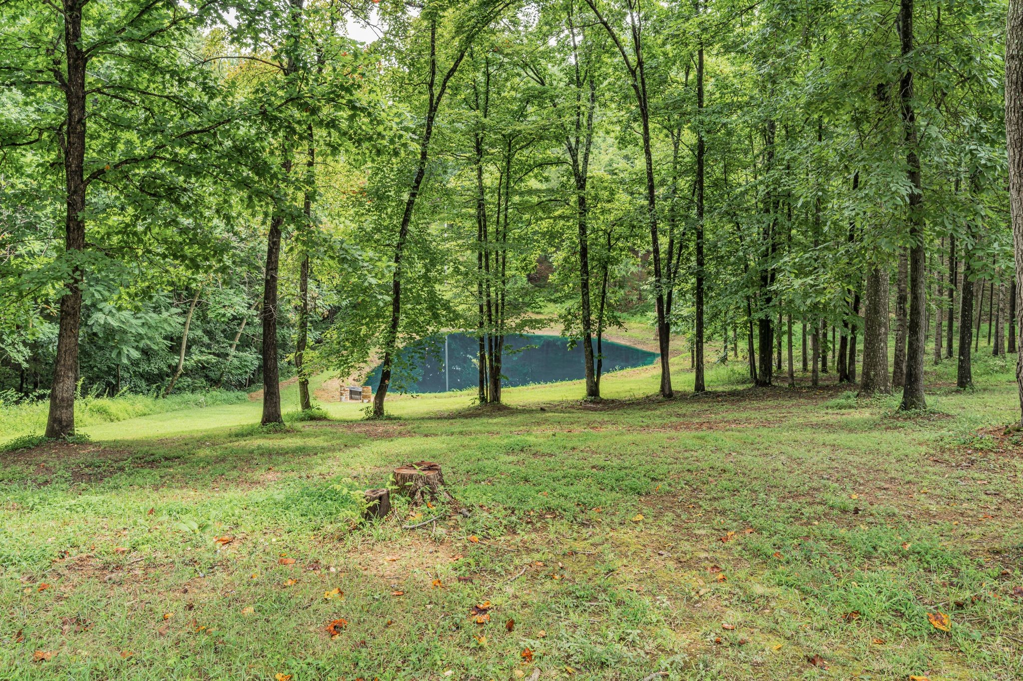 631 Hog Back Ridge Rd