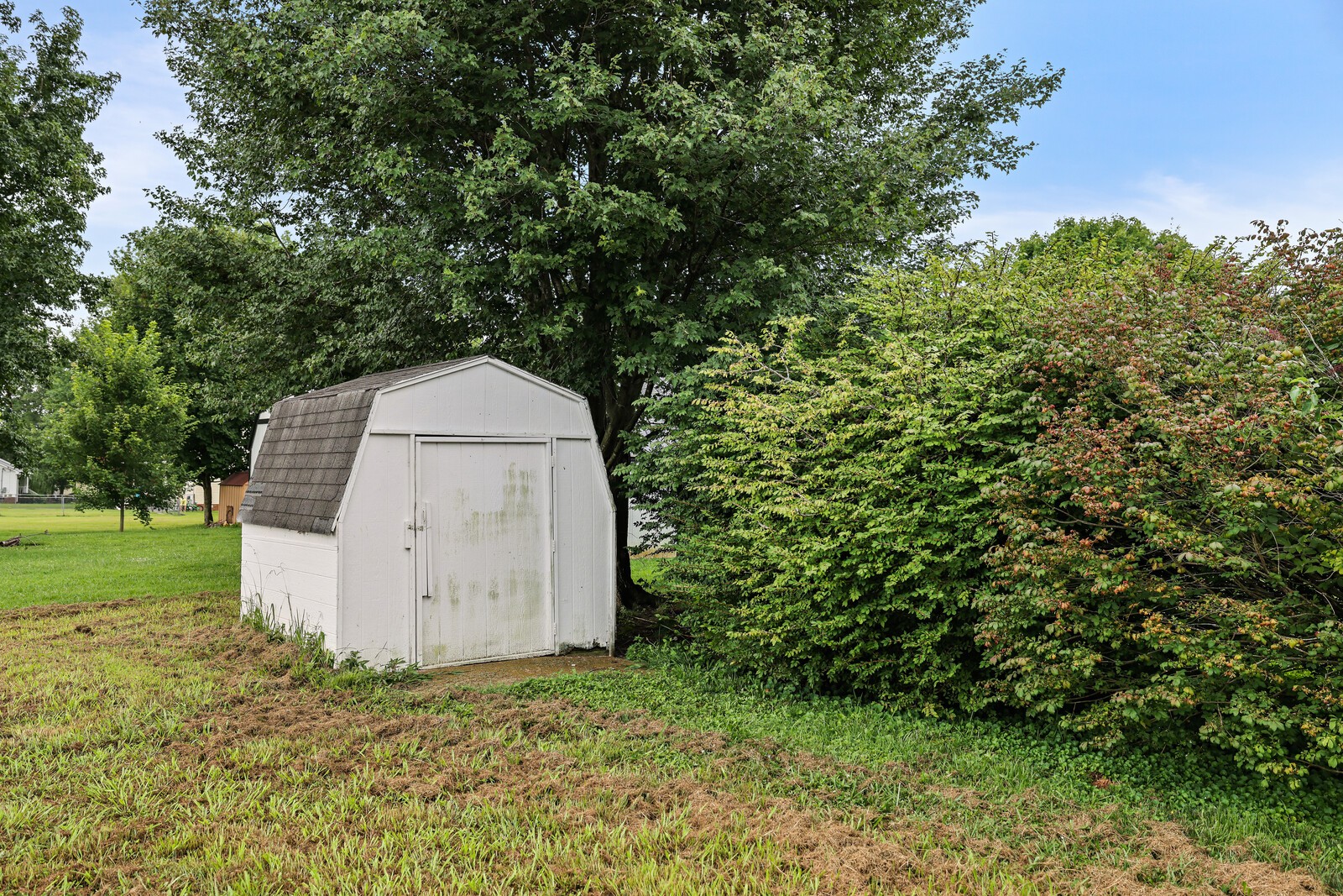 298 Shaub Rd