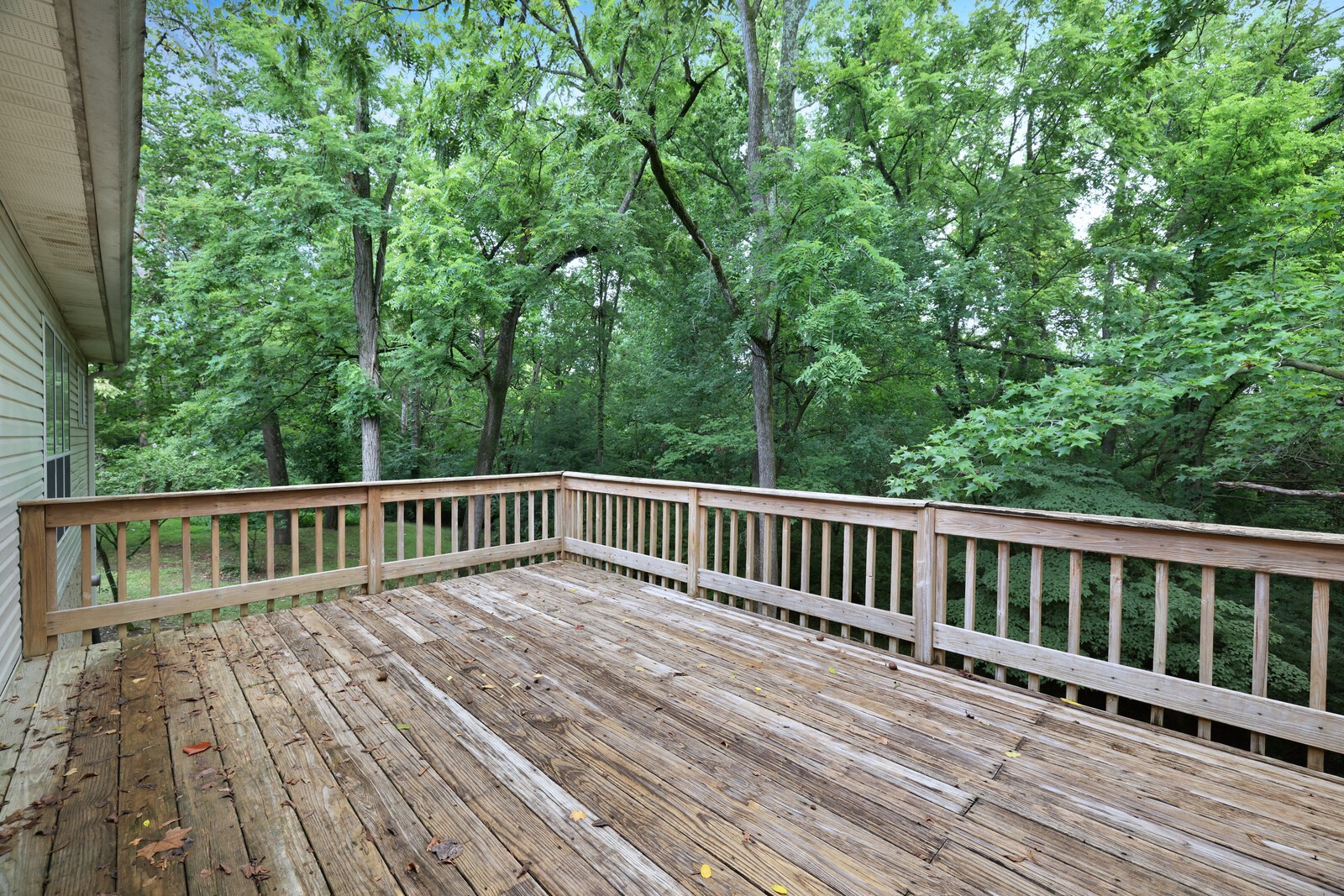 712 Elderberry Ct