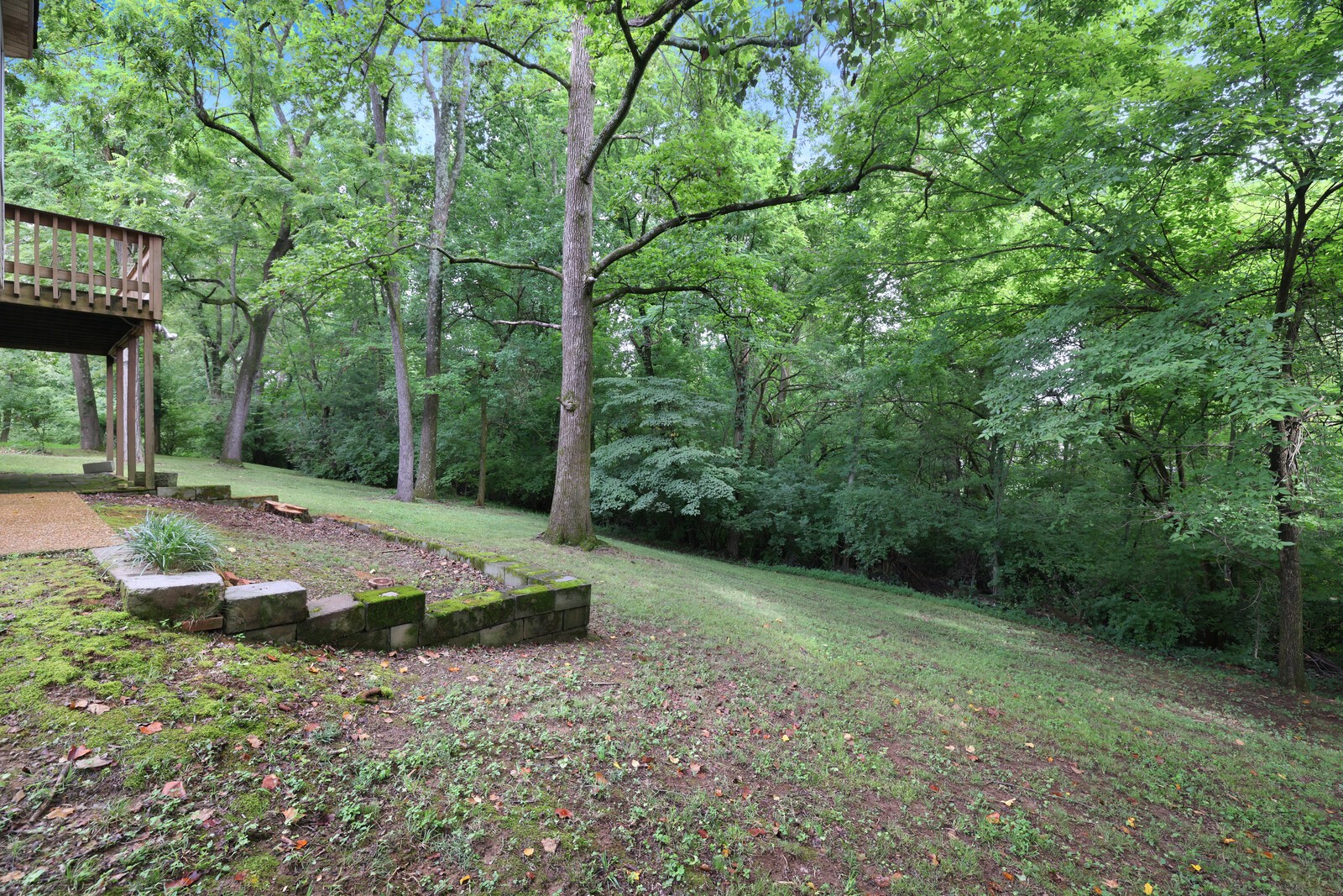712 Elderberry Ct