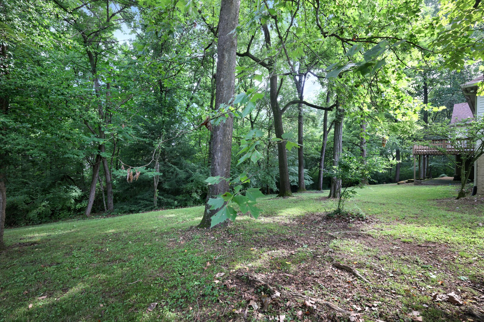712 Elderberry Ct