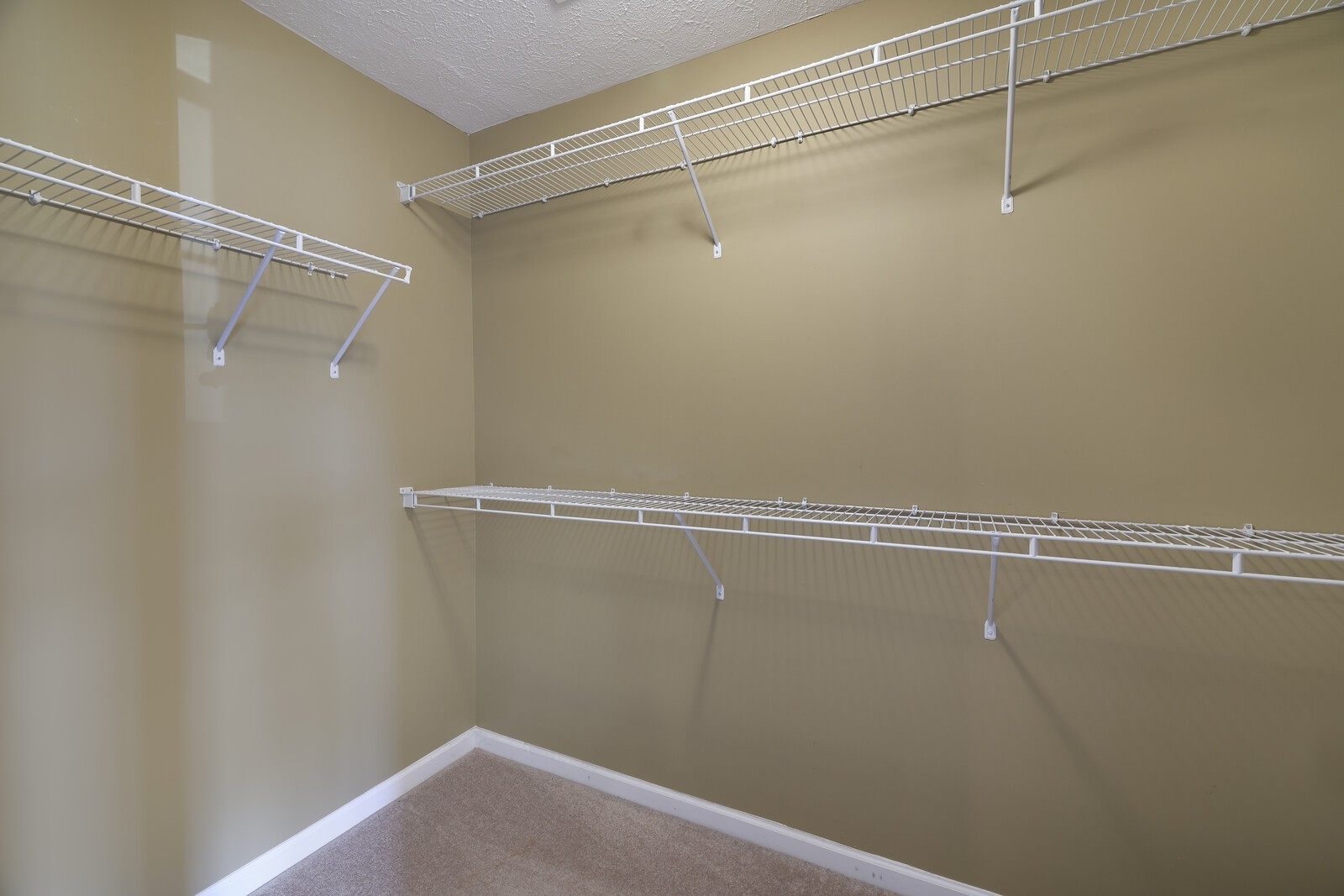 105 Gupton Ct