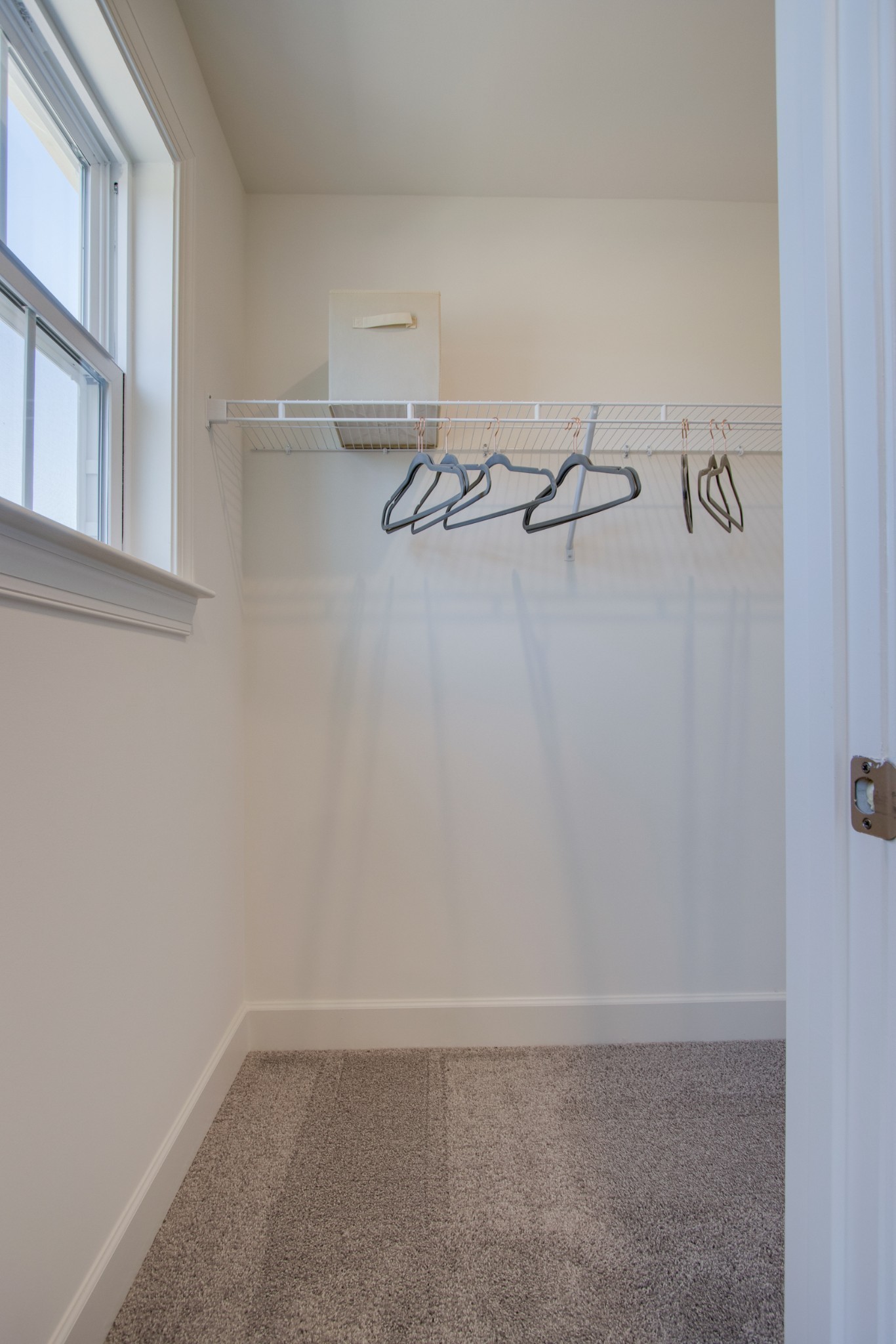 5126 Dayflower Drive