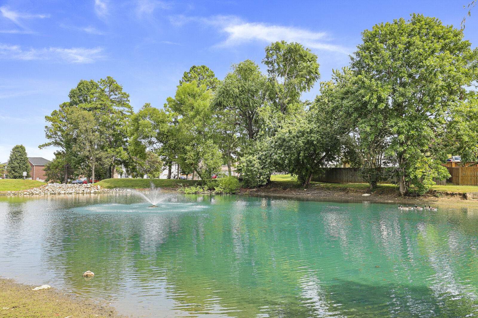 7005 Timber Cove Dr