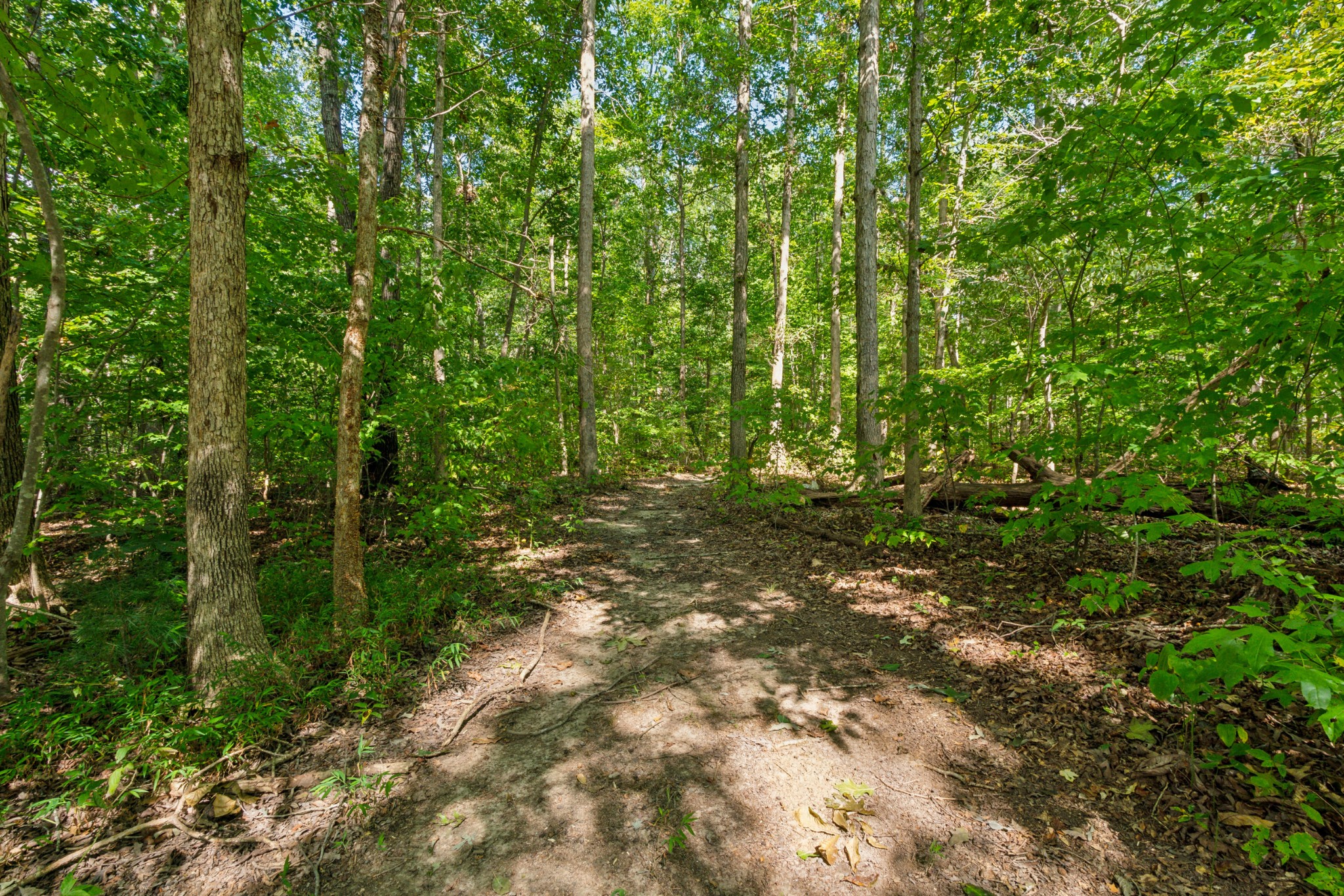482 N Fork Rd
