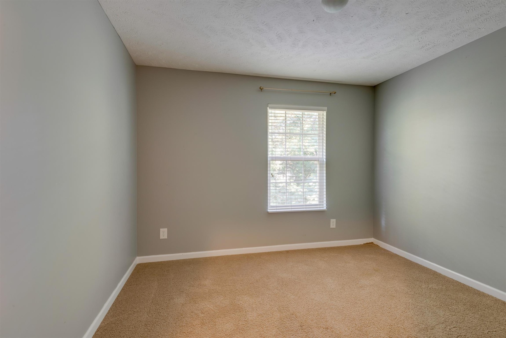 1422 Beech Grove Way