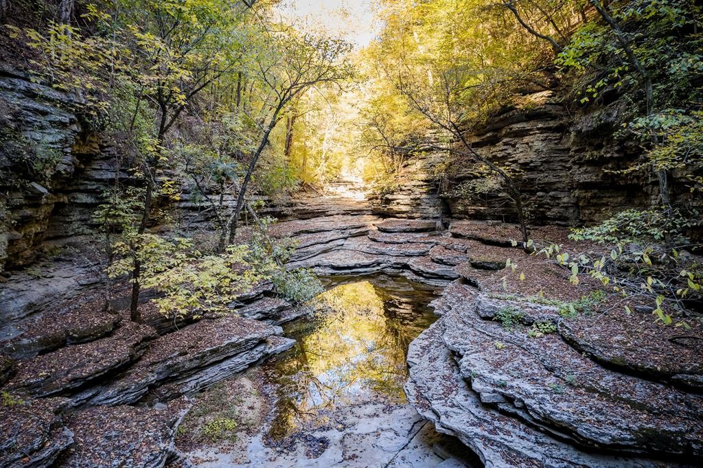 1050 Pine Creek Falls Rd