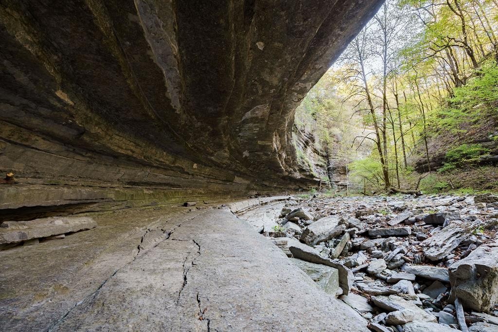 1050 Pine Creek Falls Rd