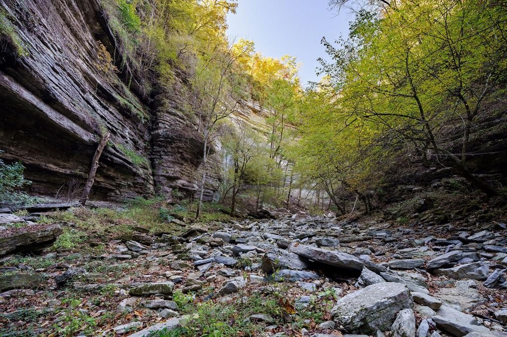 1050 Pine Creek Falls Rd