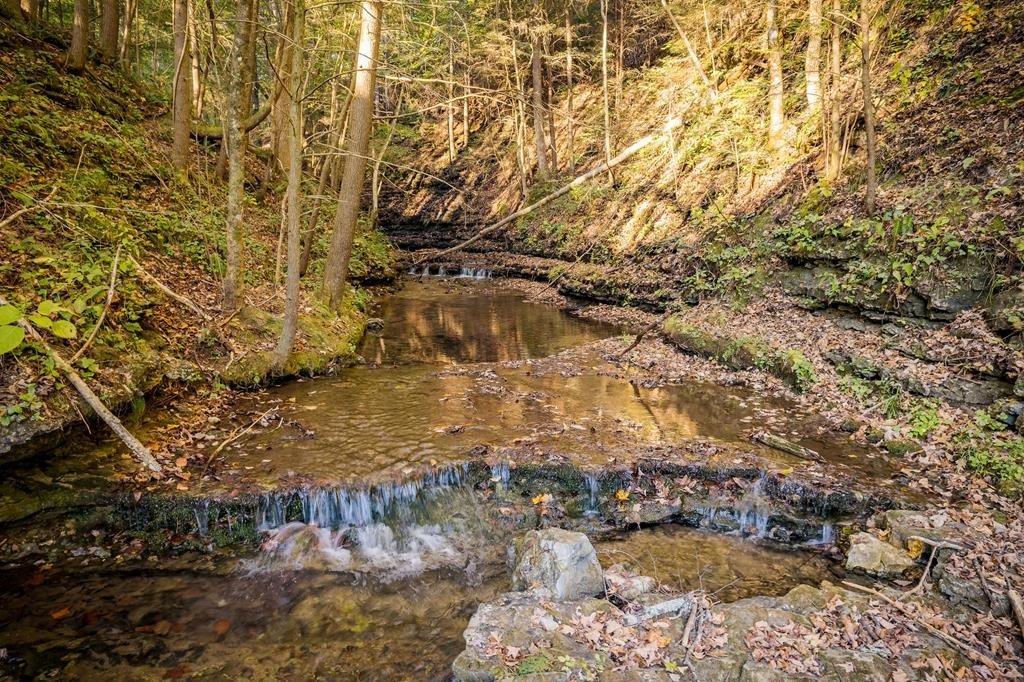1050 Pine Creek Falls Rd