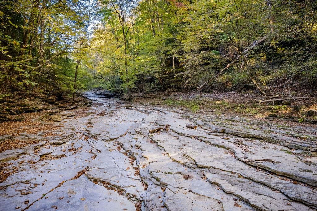 1050 Pine Creek Falls Rd