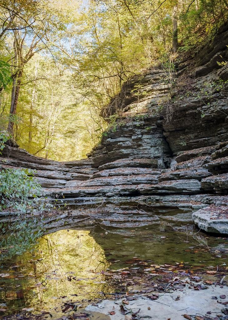 1050 Pine Creek Falls Rd