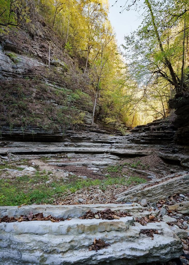 1050 Pine Creek Falls Rd