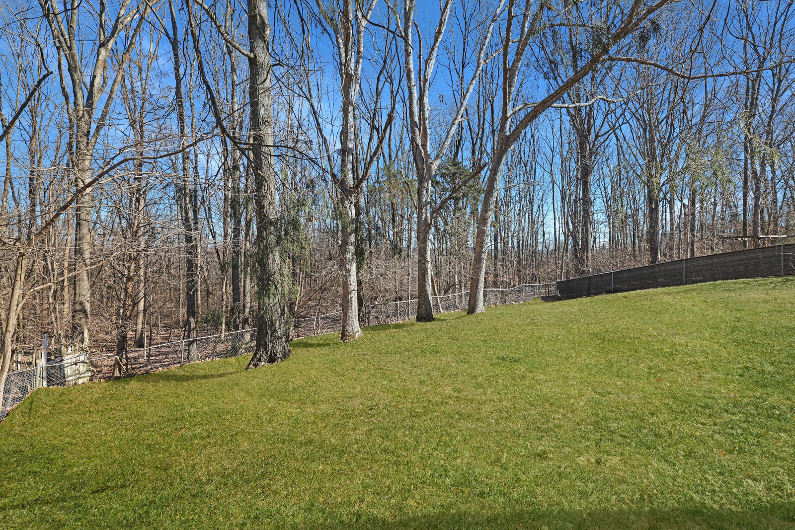 185 Bonnafield Dr