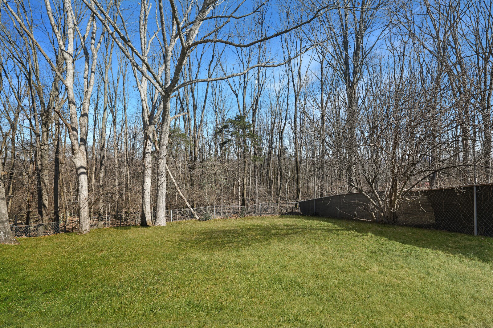 185 Bonnafield Dr
