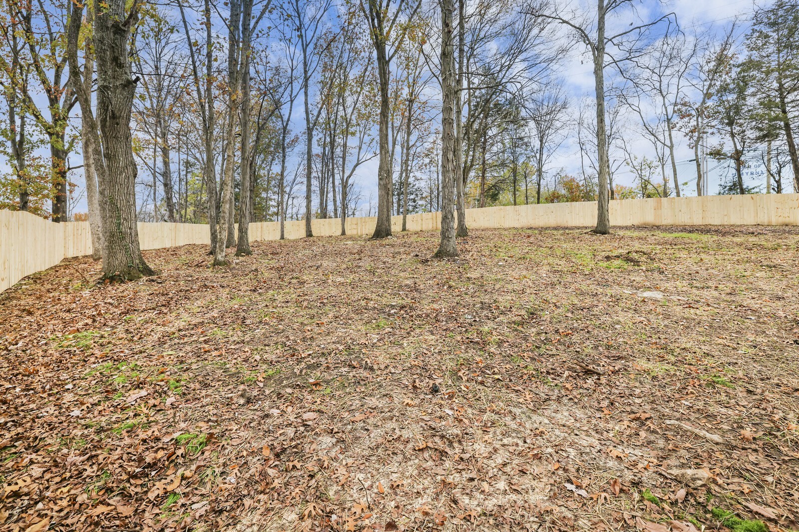 806 Jenkins Ct