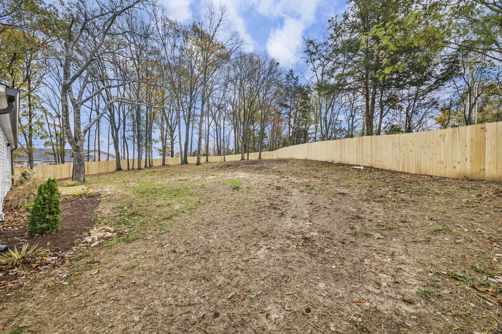 806 Jenkins Ct
