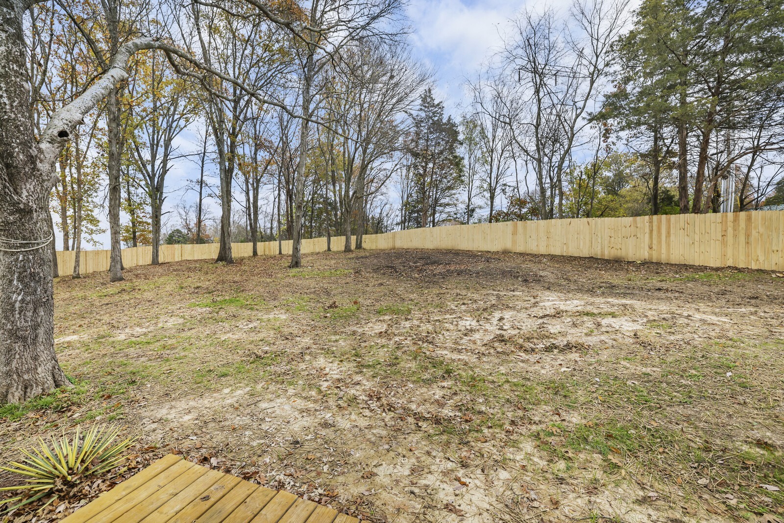 806 Jenkins Ct