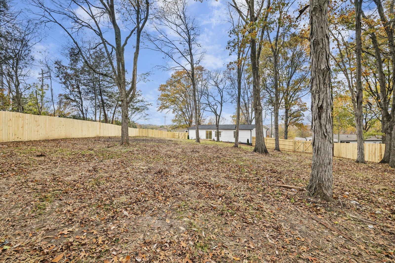 806 Jenkins Ct