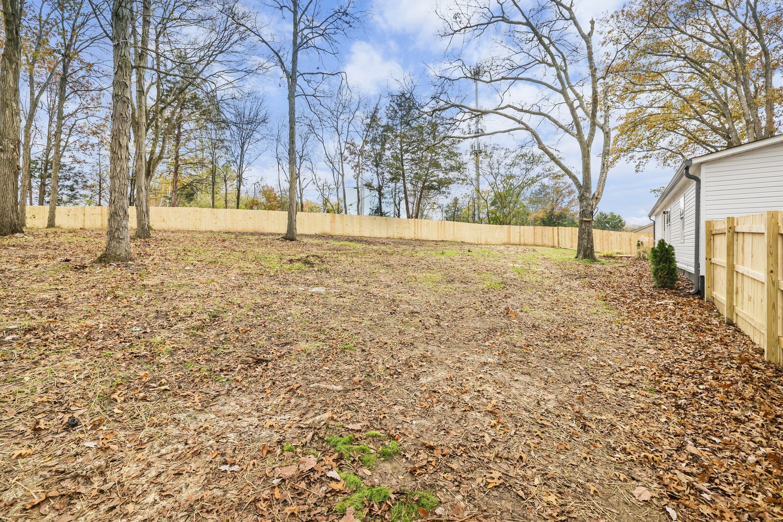 806 Jenkins Ct