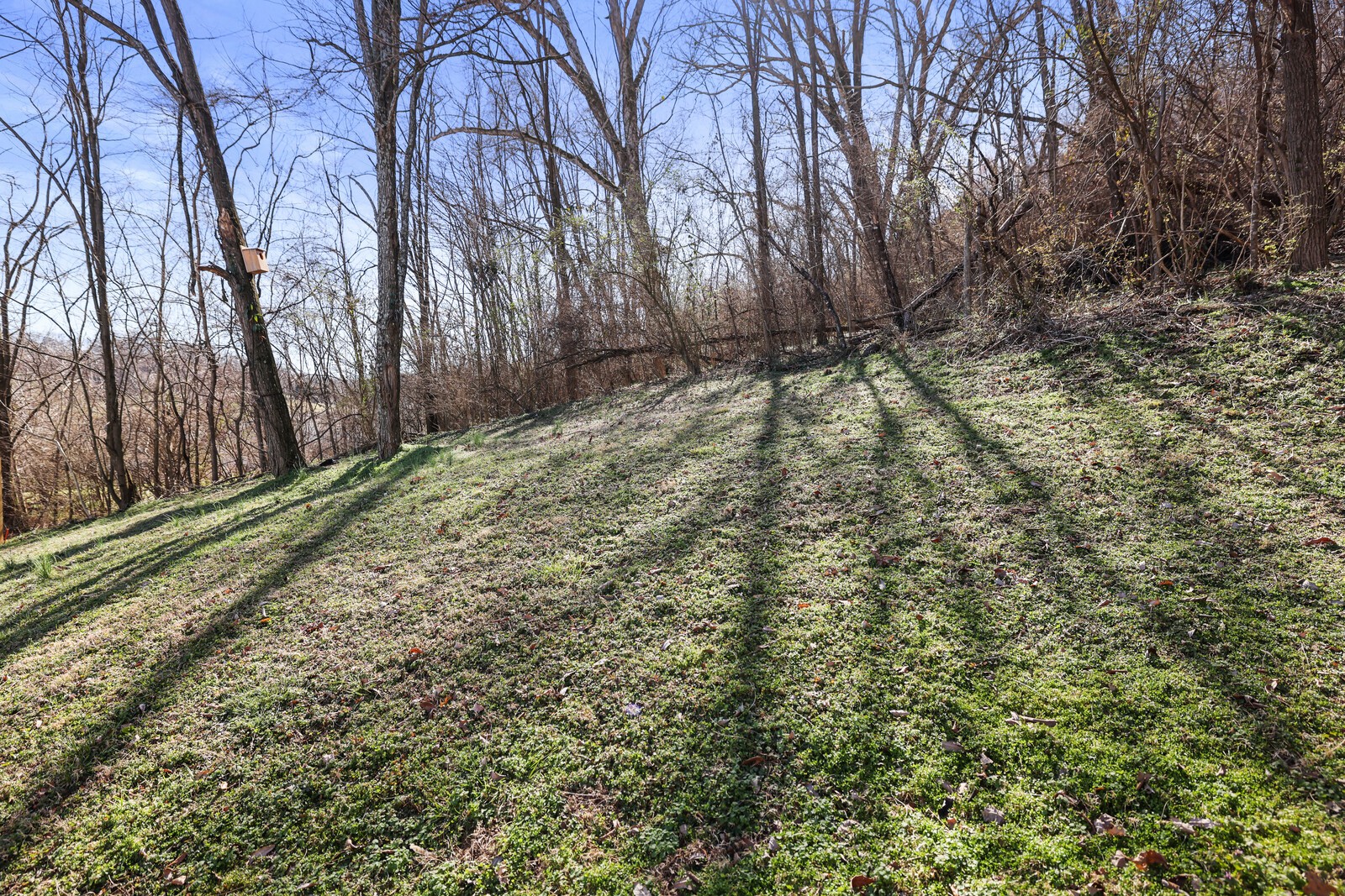 921 Holgate Ct