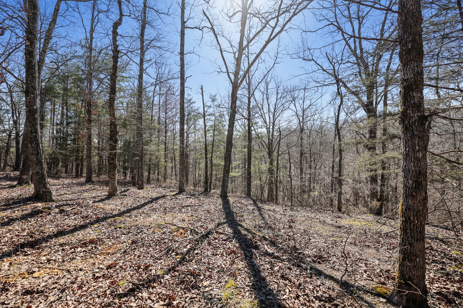 7108 Adams Rd