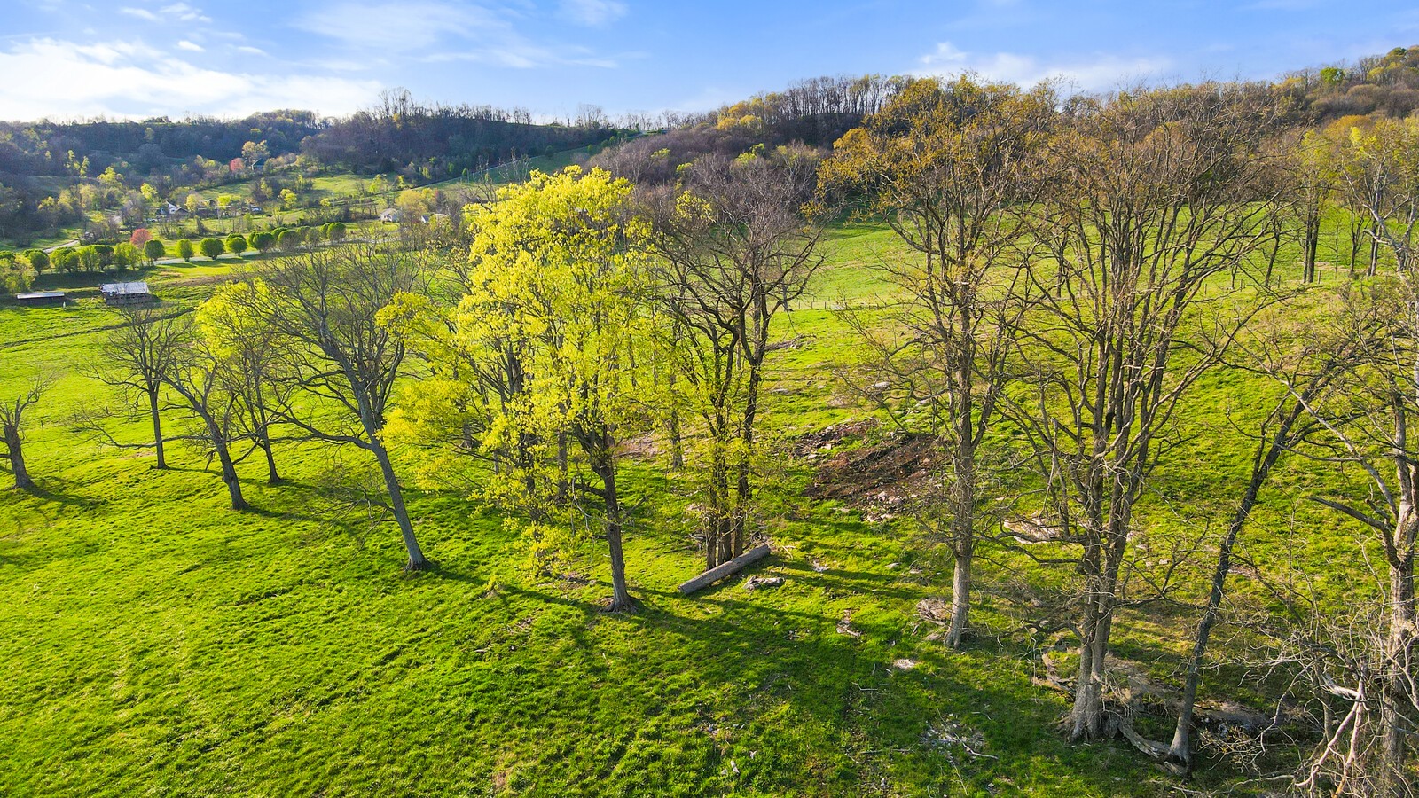 2161 Mooresville Pike