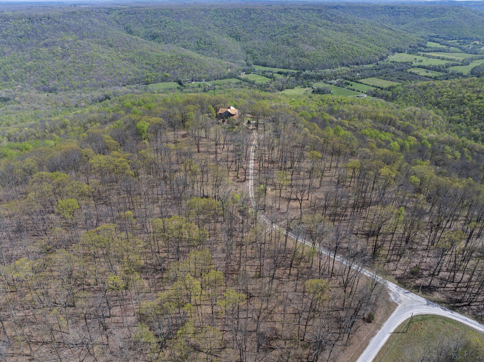 386 Hanging Rock Dr