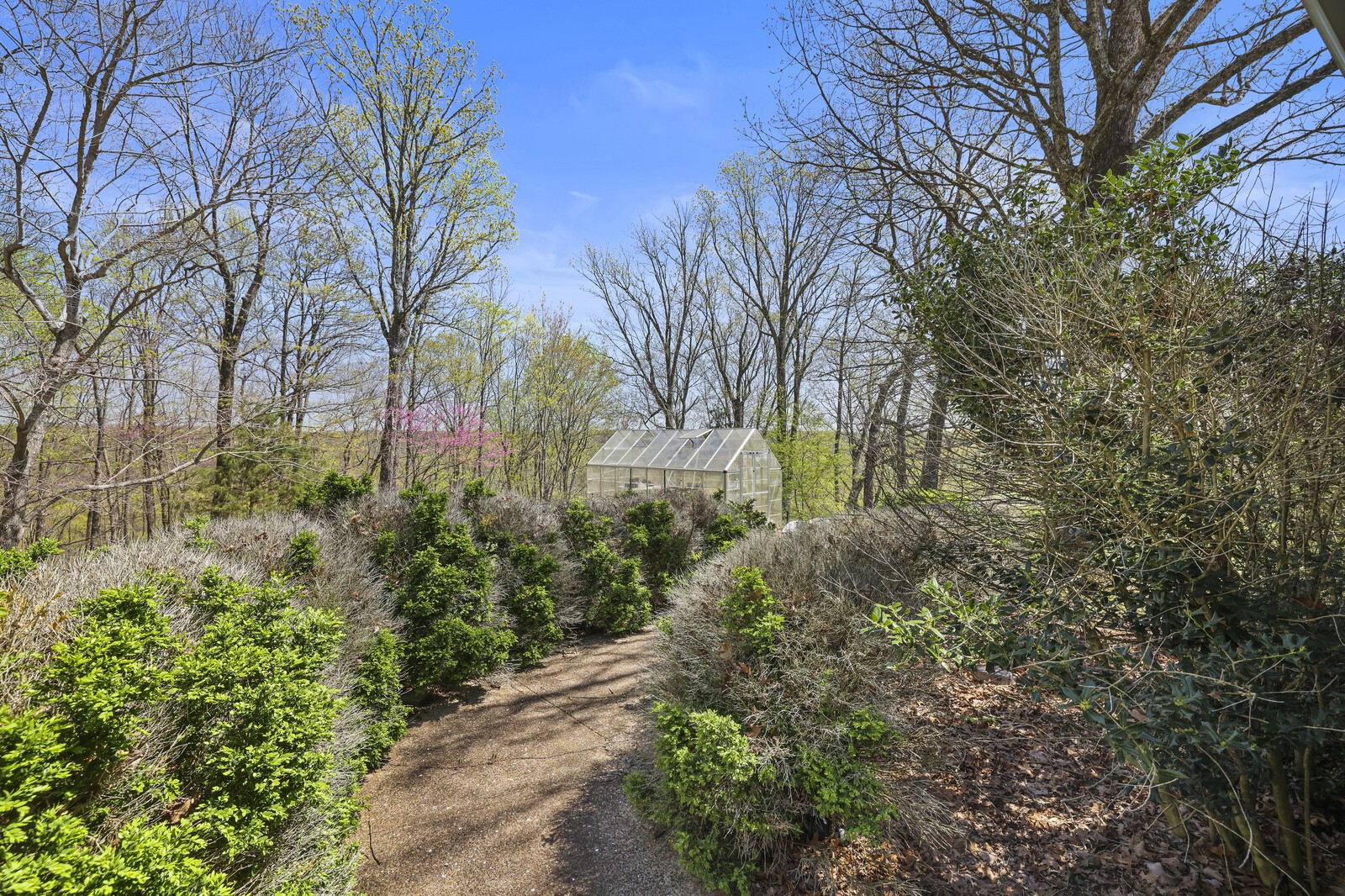 386 Hanging Rock Dr