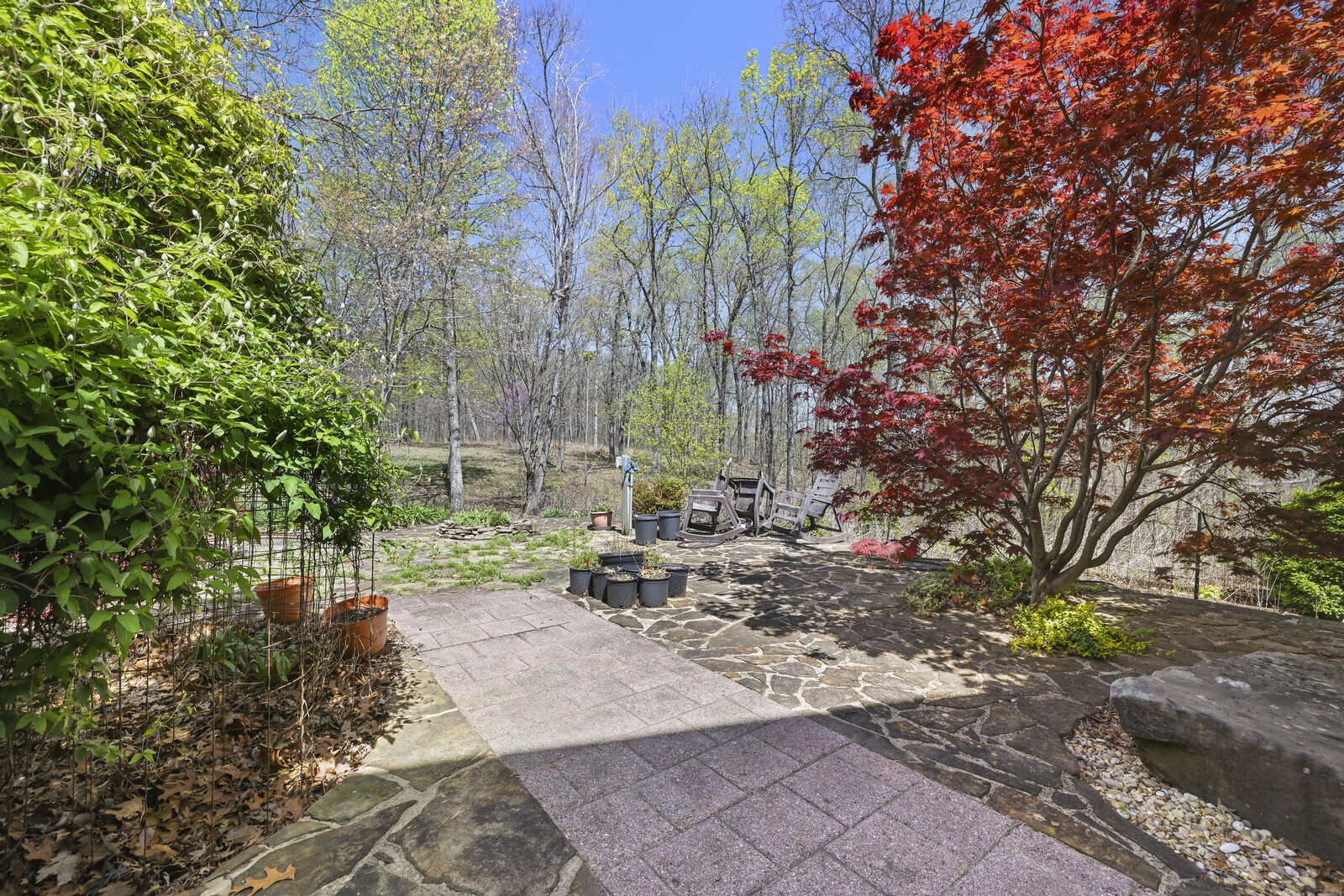 386 Hanging Rock Dr